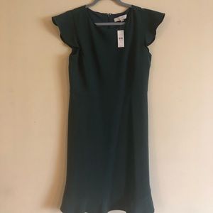 Loft Brand new green flutter dress